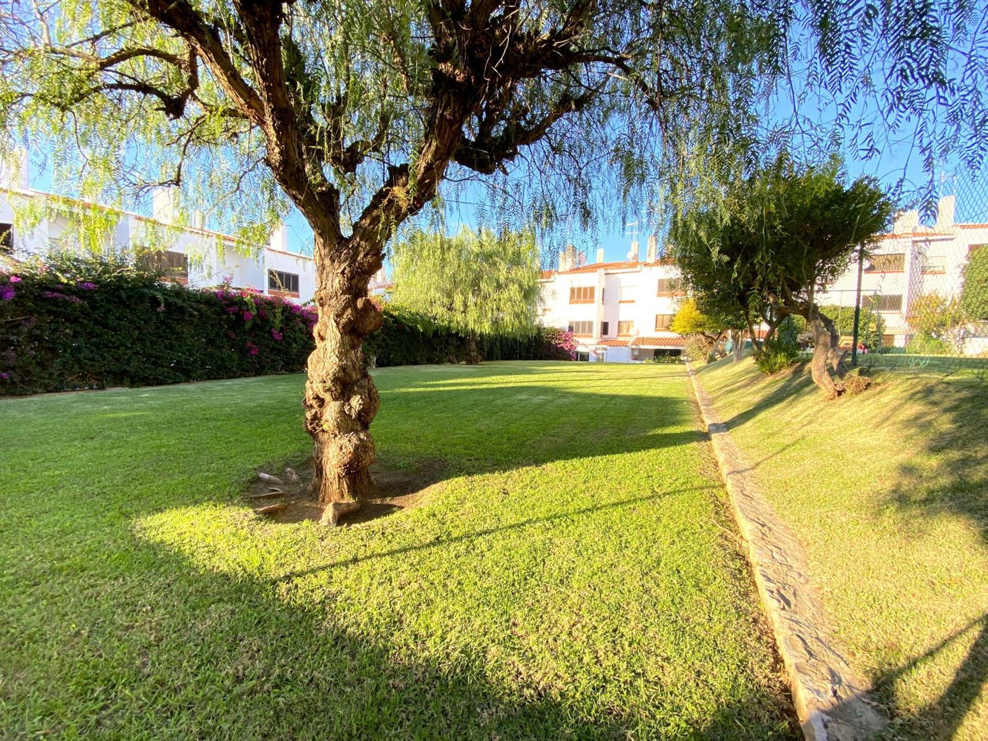 Albufeira Harmony With Pool By Homing Apartment Bagian luar foto